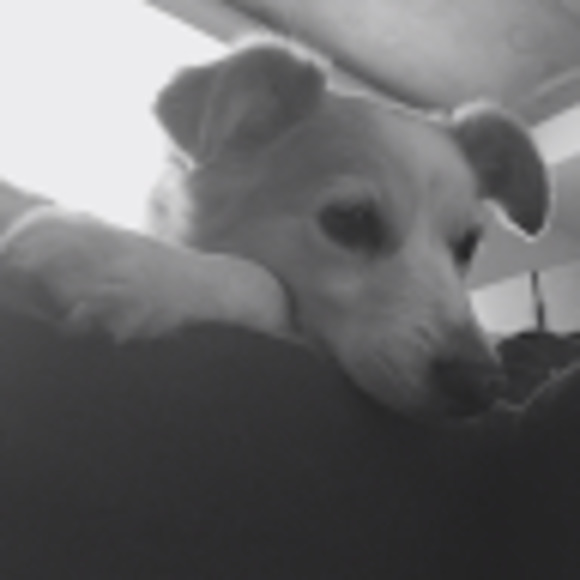 Meet your Posher, Karen - Picture 1 of 1